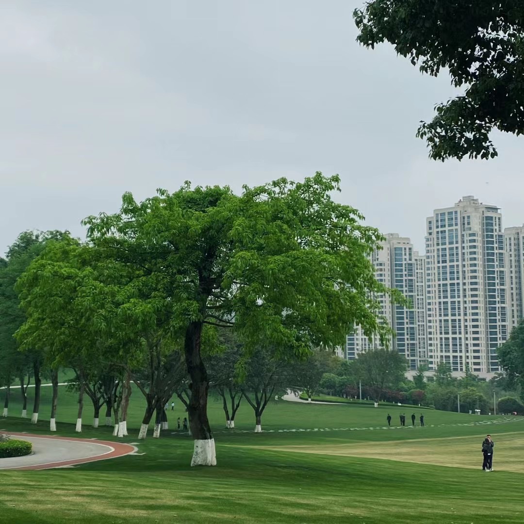 綠化公園——四川成渝高速公路股份有限公司成渝分公司劉曉剛