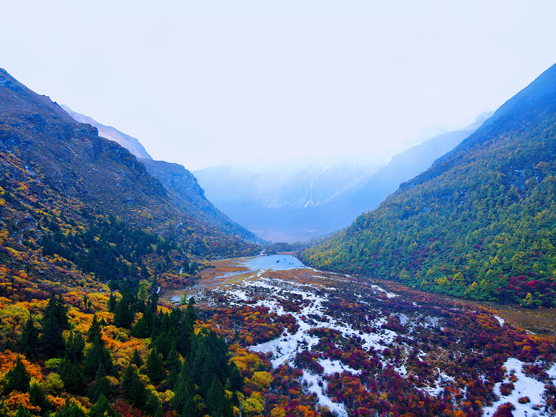 滿山紅葉——四川成渝高速公路股份有限公司成渝分公司林琳_副本