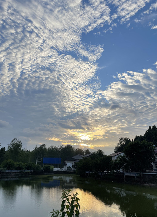 644、夕陽無限好，只是近黃昏+四川成渝高速公路股份有限公司成渝分公司資陽管理處+陳曉柯_副本