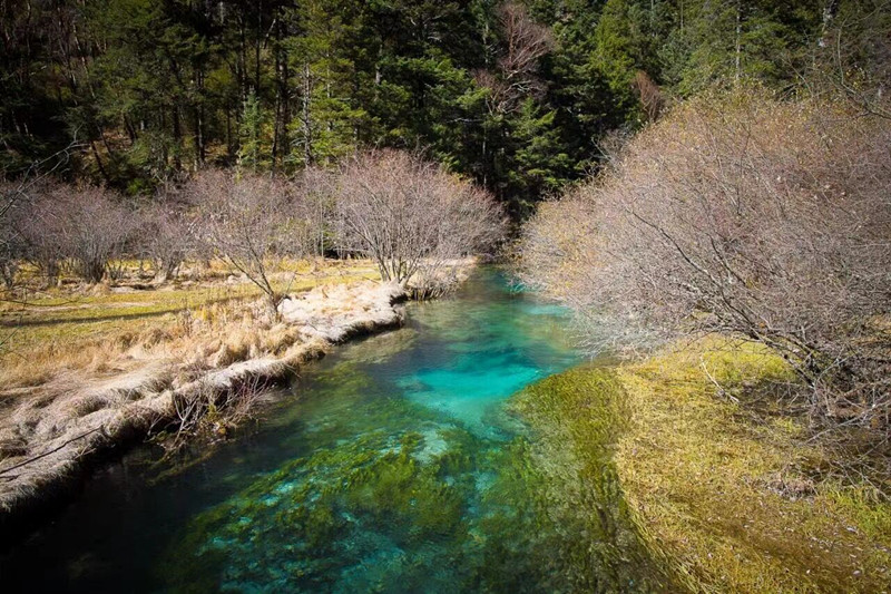 碧水藍天——四川成渝高速公路股份有限公司成渝分公司高華慶_副本