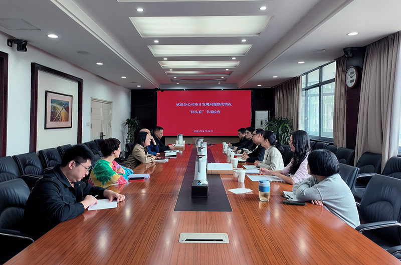 成渝公司到成渝分公司開展審計整改“回頭看”專項檢查 成渝公司到成渝分公司開展審計整改“回頭看”專項檢查