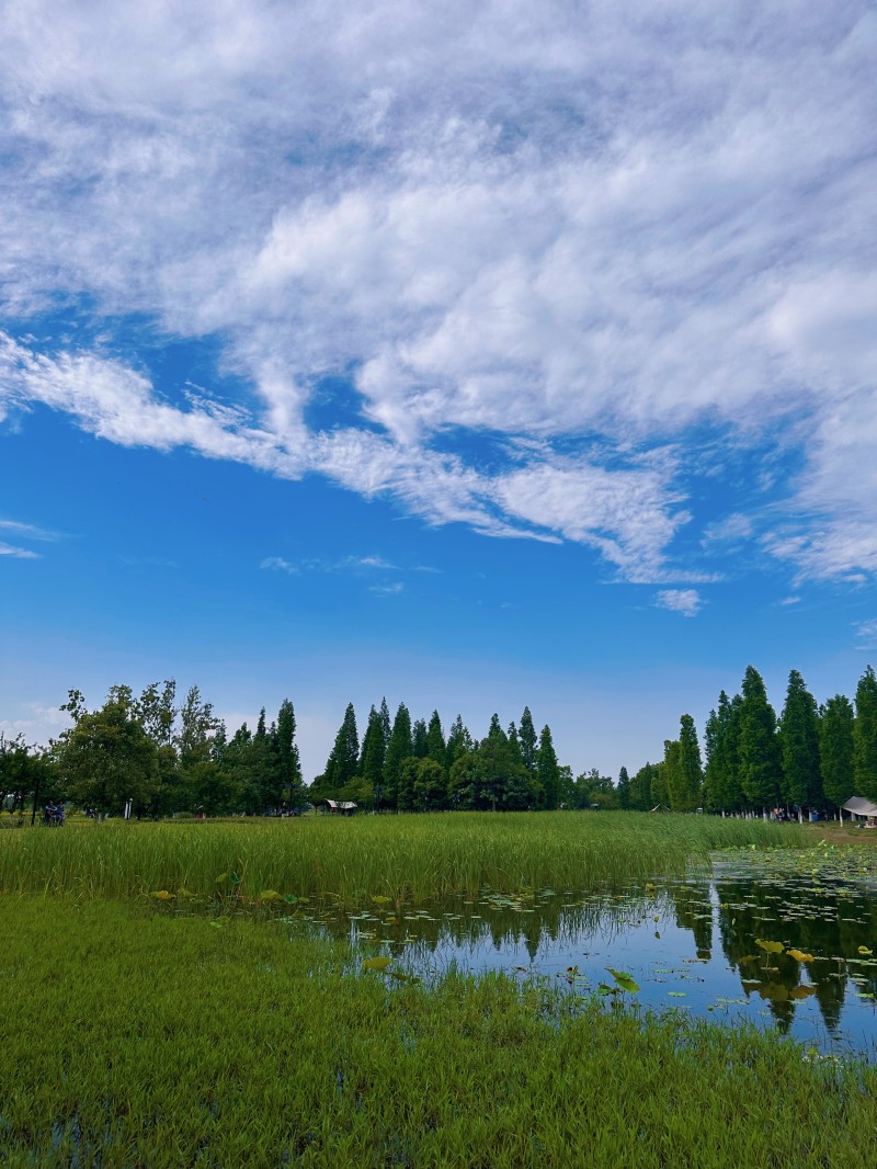 碧天一色+四川成渝高速公路股份有限公司成渝分公司資陽(yáng)管理處+孫沛