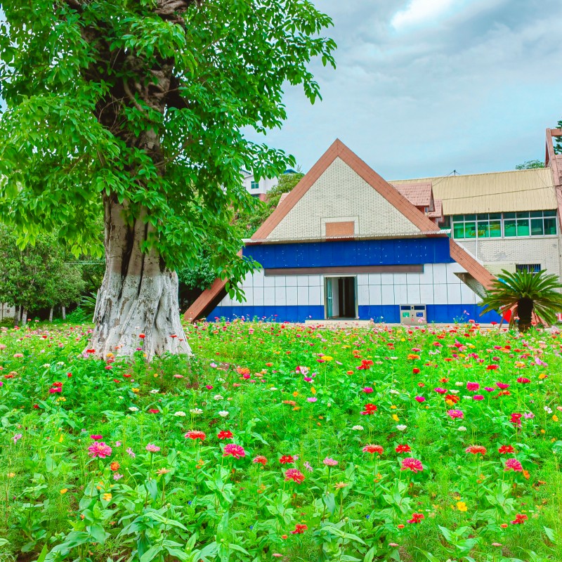 鮮花點綴的家園+四川成渝高速公路股份有限公司成渝分公司資陽管理處+賀曉