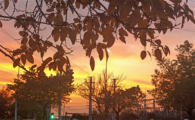 夕陽似火+四川成渝高速公路股份有限公司成渝分公司資陽管理處+向靜